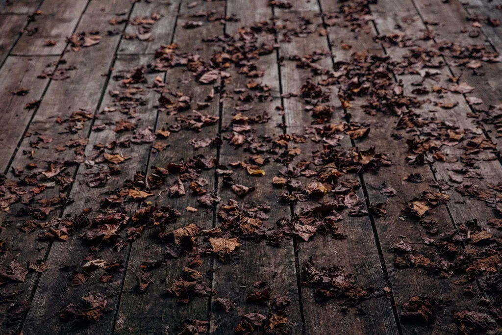 Fallen leaves scattered across dark, weathered deck boards.
